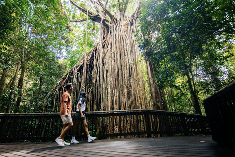 Brisbane to Daintree Whitsundays & Reef 9 Day Comfort Tour Private Single Room (Adults only)