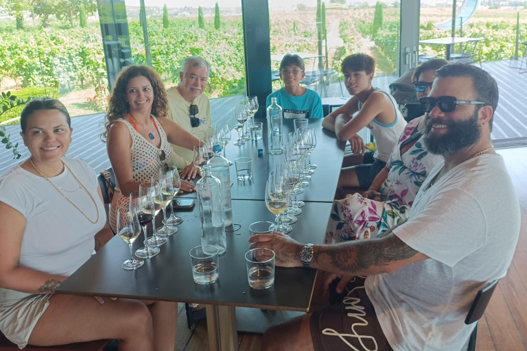 Half- day wine tasting experience from Thessaloniki