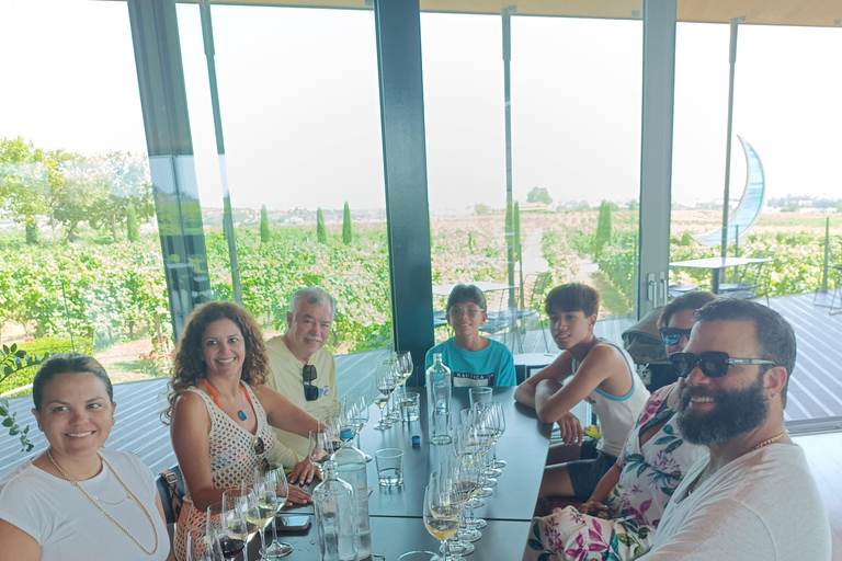 Half- day wine tasting experience from Thessaloniki