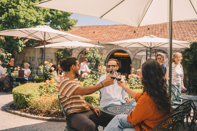 Porto: Taylor’s Port Cellar Tour & WOW The Wine Experience