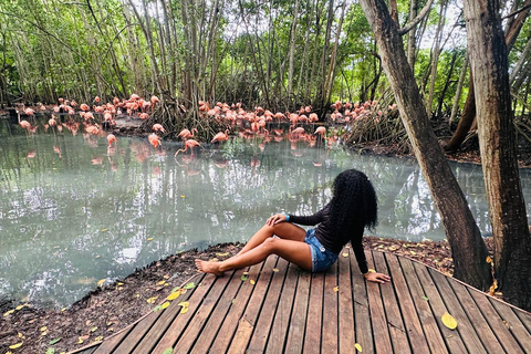 Cartagena: Viagem de 1 dia ao Aviário e almoço em Baru de barco