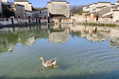Huangshan：Eeuwenoude Huizhou-dorpen Xidi en Hongcun dagtripHuangshan: Dagtrip naar het oude Huizhou Xidi en Hongcun dorp