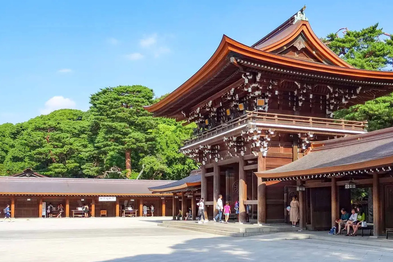 Tokyo: Private Luxury Day Tour with Hotel Pickup and DropOff