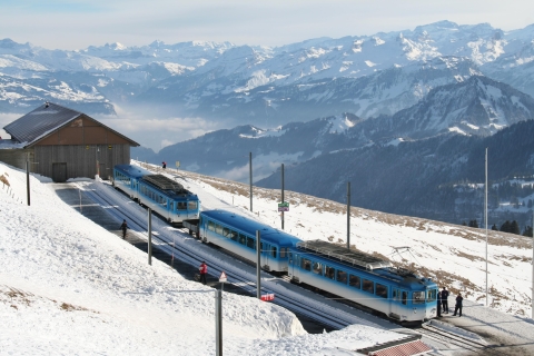 Szwajcaria: Prywatna jednodniowa wycieczka na sanki6-godzinna wycieczka półdniowa