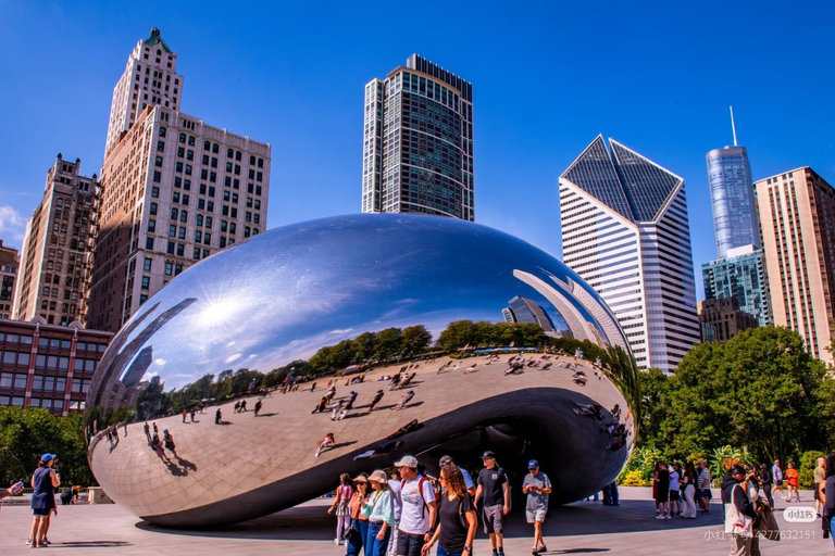 Chicago: Millennium Park Tour with Art Institute Ticket