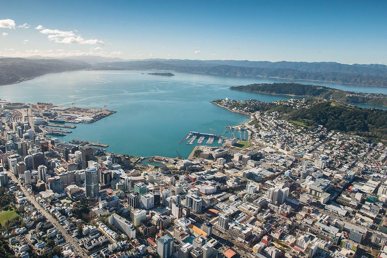 Wellington: WLG Airport to CityCentre|Hotel Private Transfer