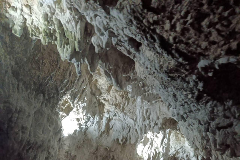 Brașov: Dracula's Castle, Bear Sanctuary, & Cave Tour