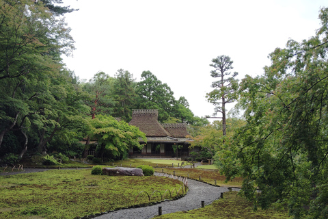نارا: جولة في حدائق يوشيكين وإيسوئين مع حفل شاي
