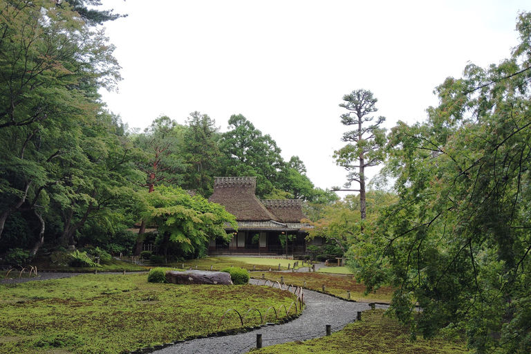 نارا: جولة في حدائق يوشيكين وإيسوئين مع حفل شاي