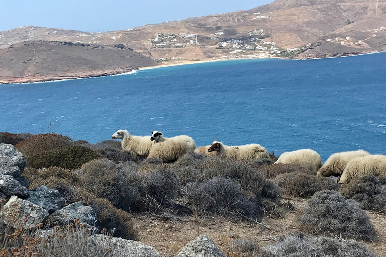 Guided Mykonos ATV adventure; Off-Road Tour with Beach Stop