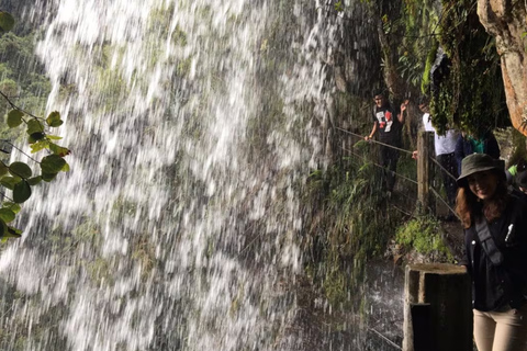 Bogotá: La Chorrera Waterfall Yoga and Forest Bathing