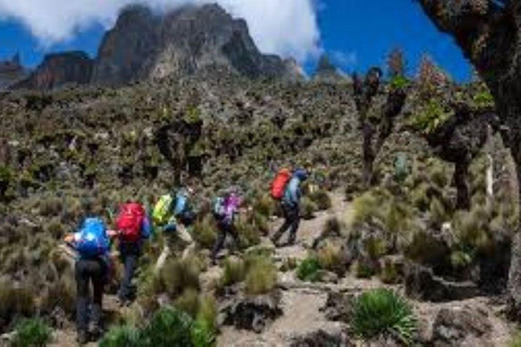 Nairobi: Mount Kenya Day Hike with Lunch