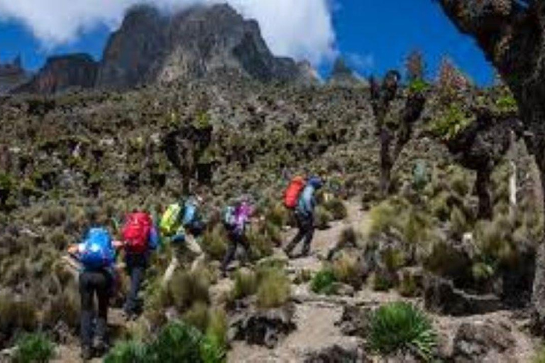 Nairobi: Mount Kenya Day Hike with Lunch