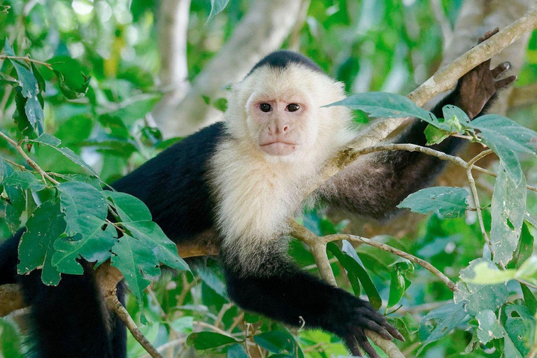 Puerto Maldonado: 2-Day Lake Sandoval Nature Tour