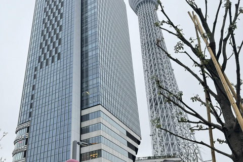 Visite d'une jounée privée à Tokyo avec chauffeur parlant anglais