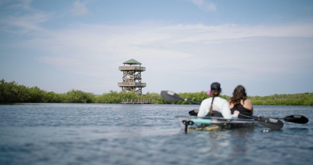Visit Robinson Preserve,FL Clear Kayak Ecotour in Clearwater Beach, Florida
