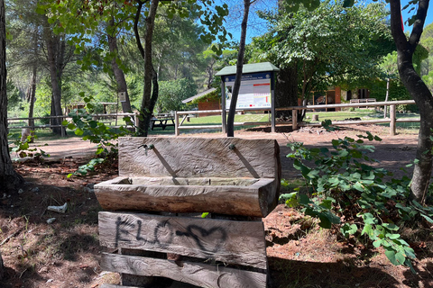 تيرانا: رحلة ليوم واحد إلى أبولونيا وبحيرة كارافاستا مع الغداء