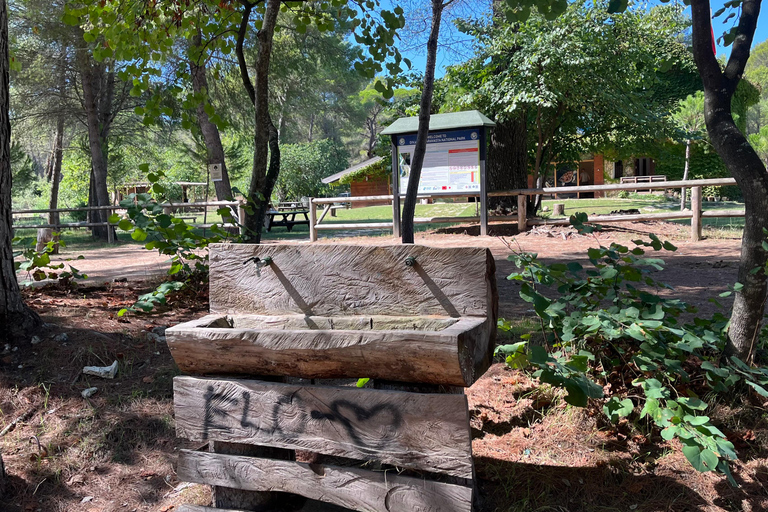 تيرانا: رحلة ليوم واحد إلى أبولونيا وبحيرة كارافاستا مع الغداء