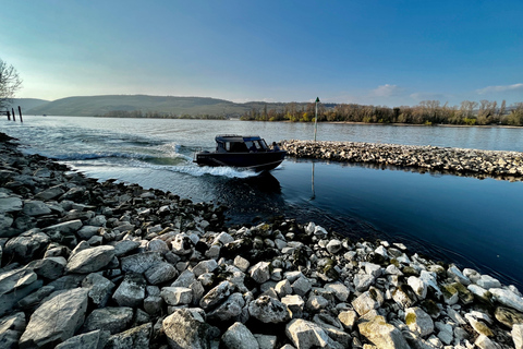 Private pleasure boat experience on the Rhine to the Loreley & visit to a castle Private recreational boat experience on the Rhine to the Loreley & visit to a castle