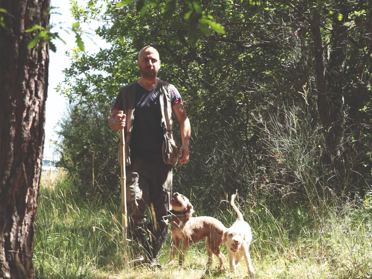 Val d'Orcia: Trüffeljagd mit Guide