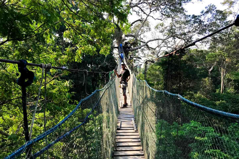 Aventure extrême I - Iquitos | Pont suspendu + Canopée