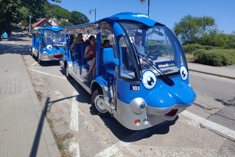 Gdansk: City Tour Golf Cart Main & Old City Sightseeing Tour Group Shared Regular Tour From Meeting Point