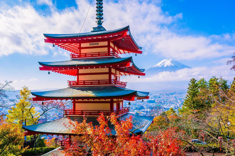 Mount Fuji,Oshino Hakkai , Kawaguchi Lake,1-Day Private Tour