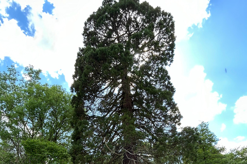 Noleggio di biciclette elettricheNoleggio biciclette elettriche per 1 giorno (8 ore)