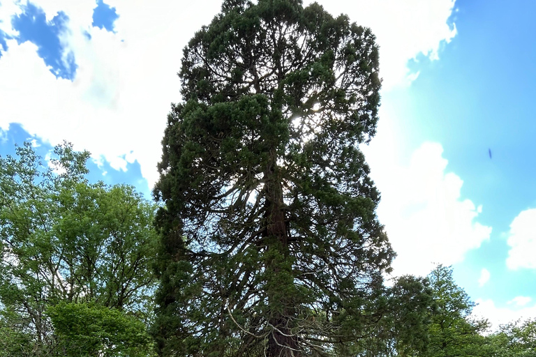 Noleggio di biciclette elettricheNoleggio biciclette elettriche per 1 giorno (8 ore)