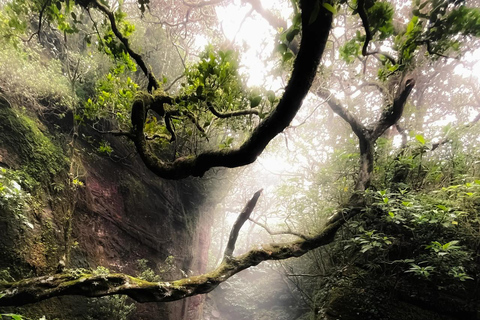 Kandy: Knuckles Mountain Range 2-Day Camping Tour