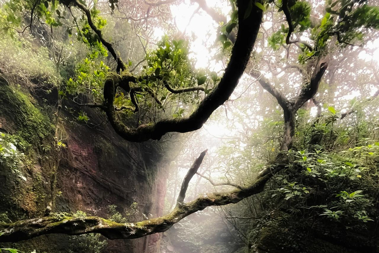 Kandy: Knuckles Mountain Range 2-Day Camping Tour