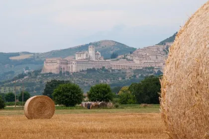 Montepulciano Weinverkostung und Assisi Private Tagestour