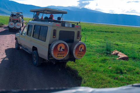 Ngorongoro Crater: Full-Day Safari Tour
