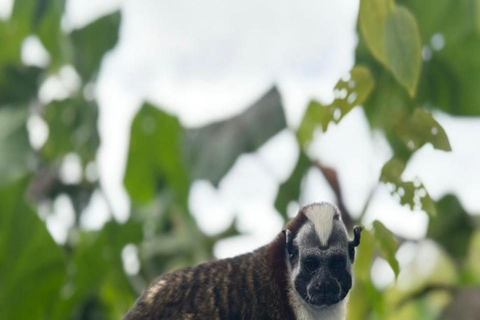 Panama City: Monkey Island & Gatun Lake Tour