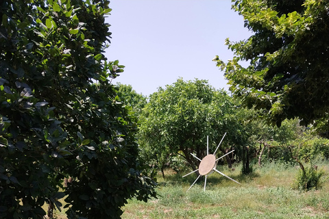 Kusadası: Countryside Tour with Lunch and Drinks