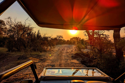 Cataratas Victoria: Safari por el Parque Nacional Zambeze