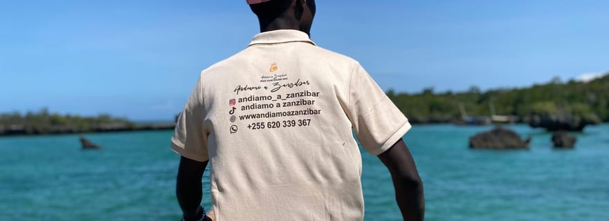 Zanzibar : Excursion d'une journée Safari Blue avec plongée en apnée et déjeuner