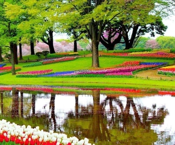From The Hague: Private Keukenhof & Windmills Tour