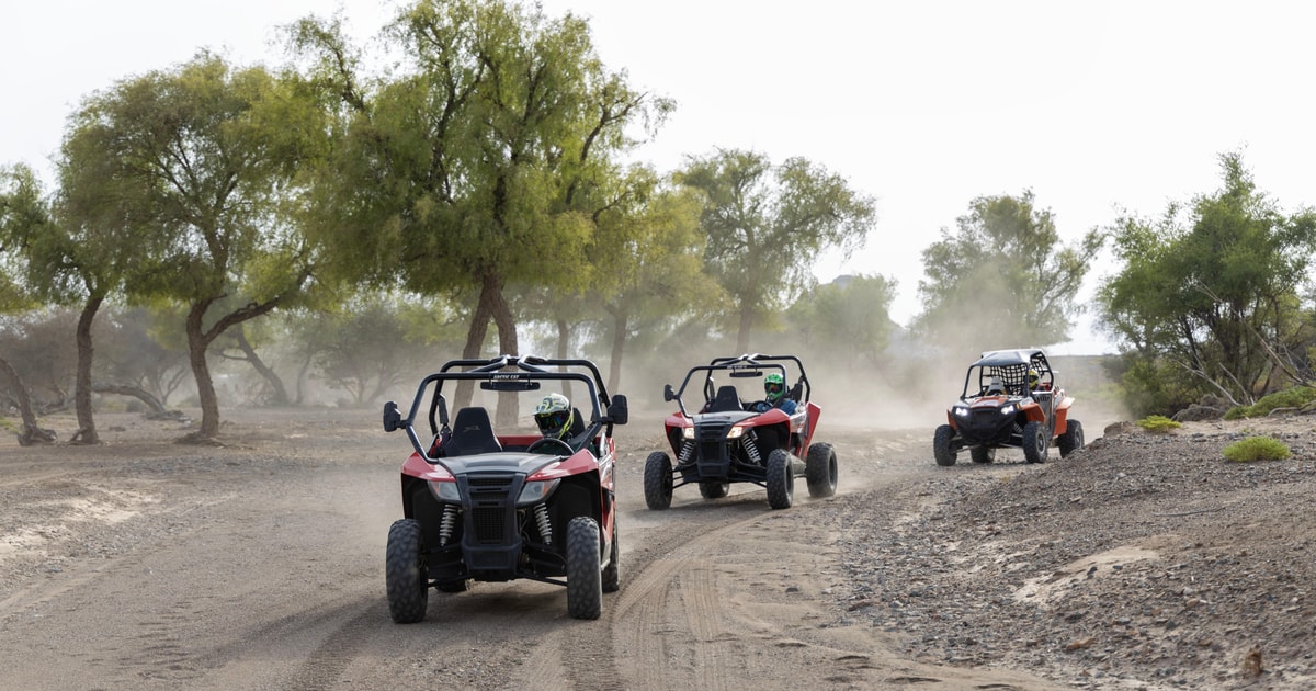 Da Mascate: avventura in All-terrain vehicle a Wadi Al Rak | GetYourGuide