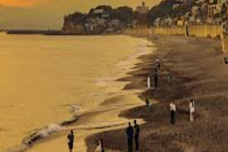 Tokyo: 2-Day Guided Tour with Kamakura & Hotel Pickup