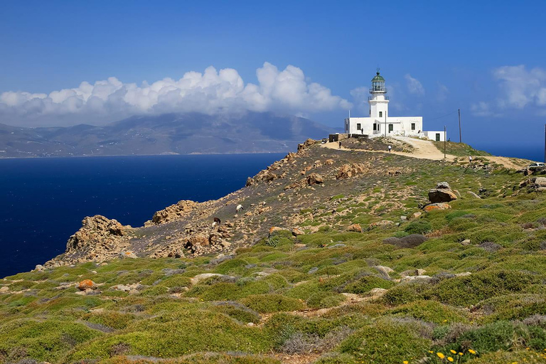 Mykonos: Tour privato dell&#039;isola con un abitante del postoTour dell&#039;isola di Mykonos con autista/quide locale