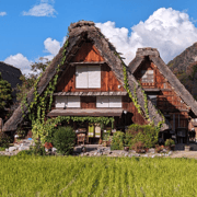 From Takayama: Guided Day Trip to Takayama and Shirakawa-go
