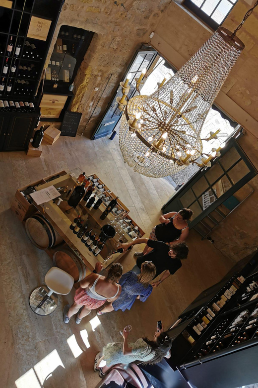 Explore Saint-Émilion on e-Bikes: Small Group, half-Day Tour | GetYourGuide
