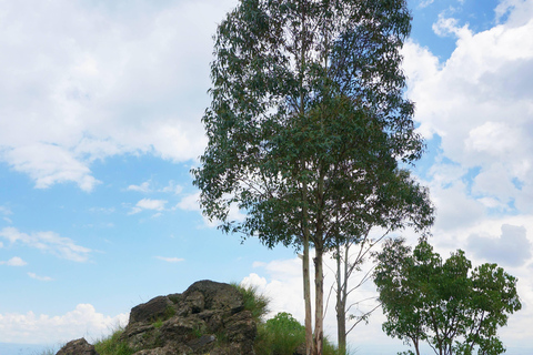 Nairobi: Kariandusi & Hyrax Hill Prehistoric Day Tour