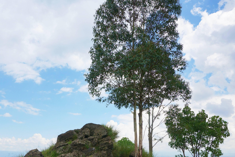 Nairobi: Kariandusi & Hyrax Hill Prehistoric Day Tour