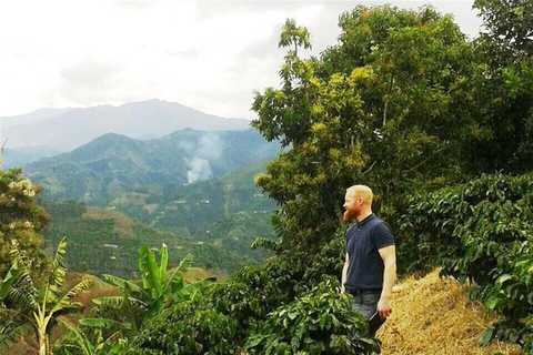 Depuis Medellin : Circuit de 3 jours sur la route du café colonial