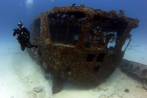 Cancun 2 Dives: Shipwreck & Reef for Certified Divers