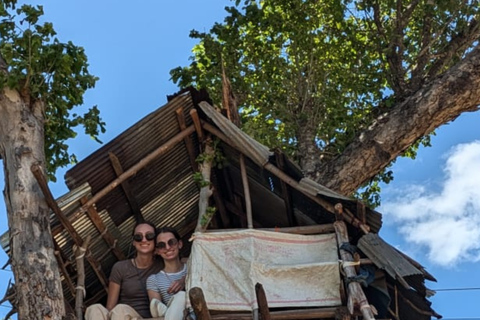 Kandy: Sigiriya and Dambulla Tuk Tuk Safari with Lunch