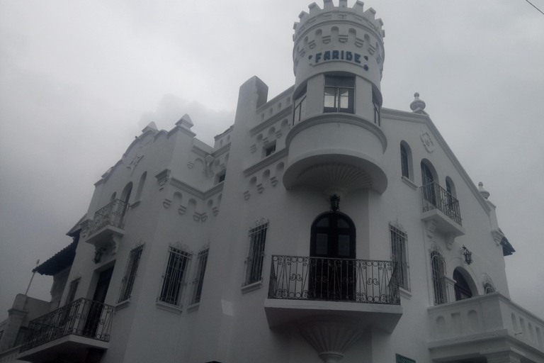 Quito - La Mariscal District: heritage houses and the artisan market 2 Short