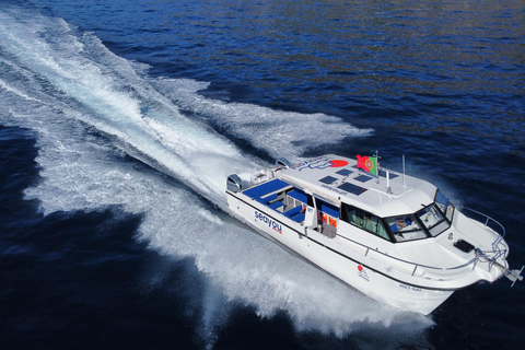 Calheta: Private Catamaran Tour - With Open Bar & Snacks Sunset Tour with Snorkeling & Paddleboarding/ Max 18 people